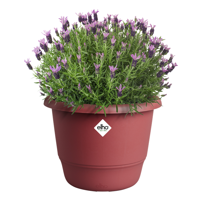 amiga rond 30cm theater rood